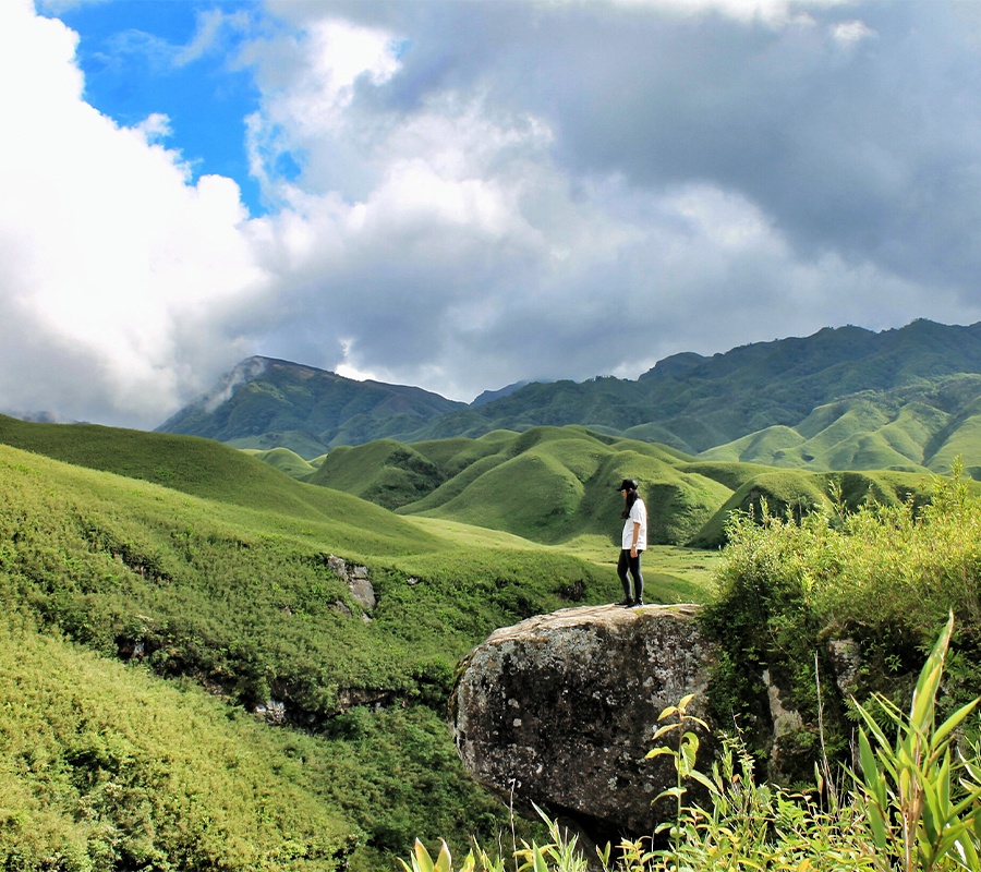 Nagaland Leads Connect